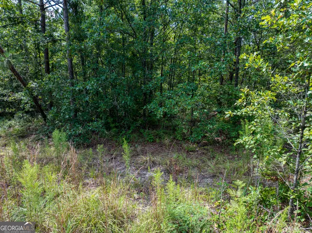$66,000 | 10.5-acres (lot River Road, Waynesboro, GA 30830