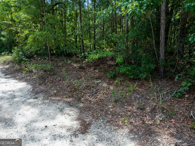 $66,000 | 10.5-acres (lot River Road, Waynesboro, GA 30830