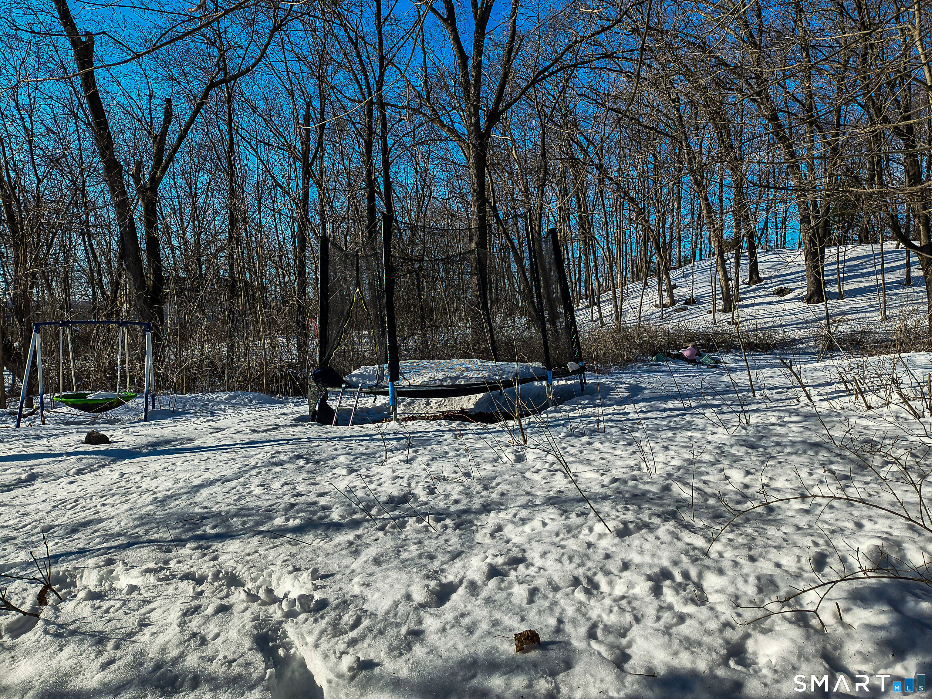 70 Walnut Street Putnam, CT 06260 - Photo 16 of 20 a view of a backyard with large trees