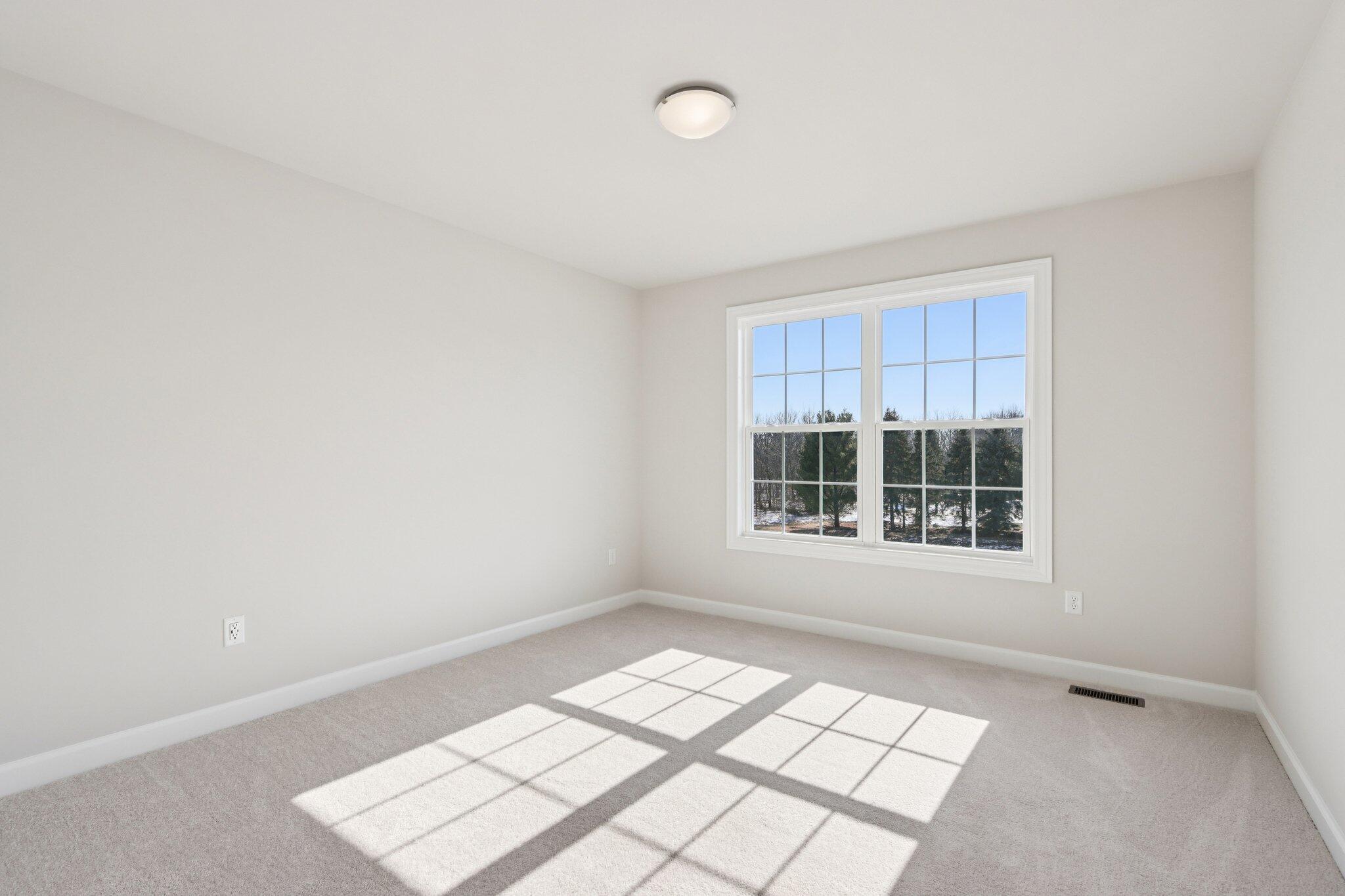 509 Barnum Lane Delavan, WI 53115 - Photo 33 of 58 SDL 80 Palmetto V Image MLS (37)