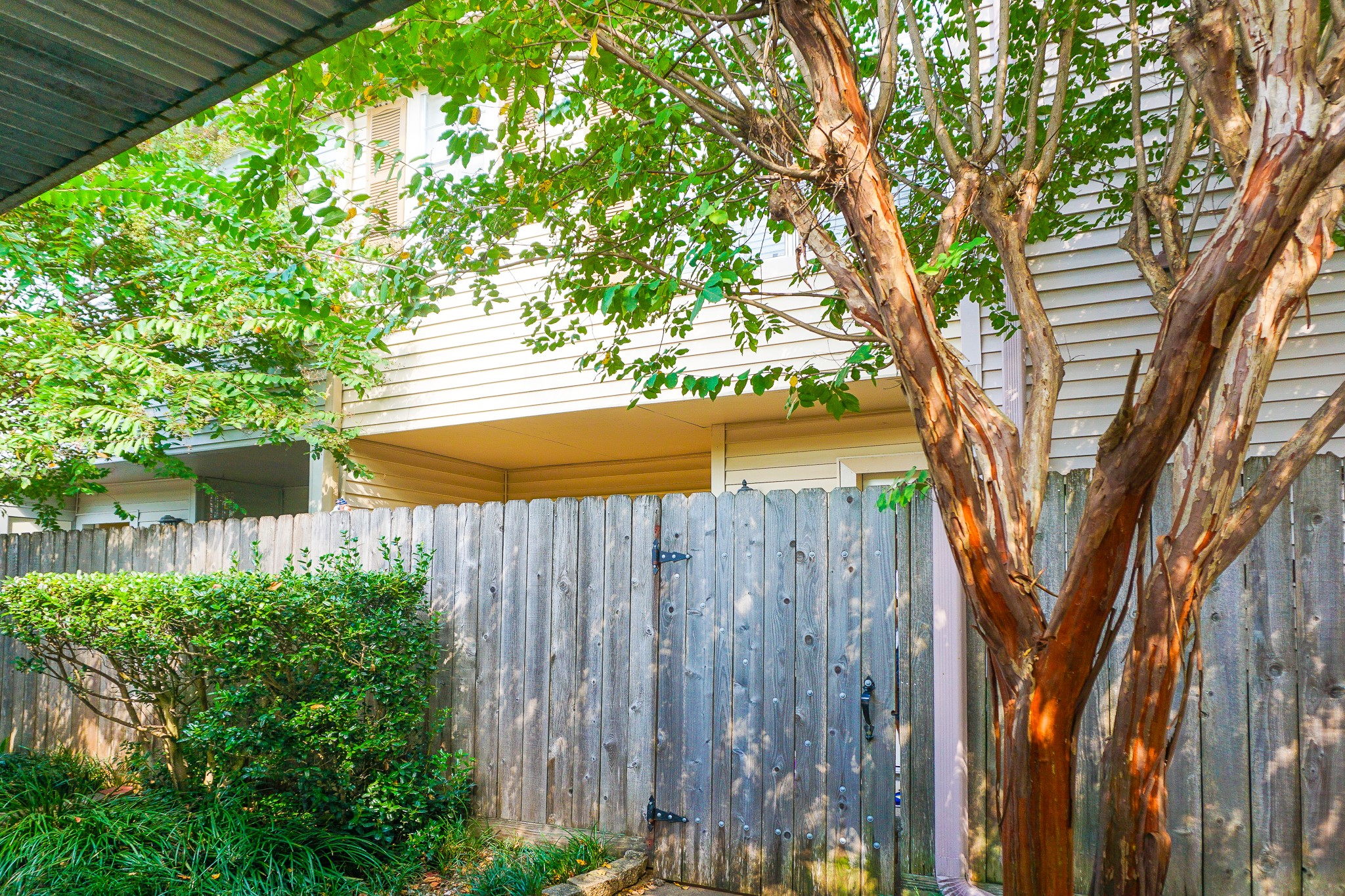 3100 Jeanetta Street, Unit 703 Houston, TX 77063 - Photo 34 of 42 a view of a backyard with plants and a large tree