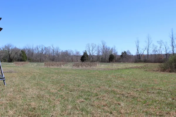 $919,800 | 0 Van Buren Road, Saulsbury, TN 38067