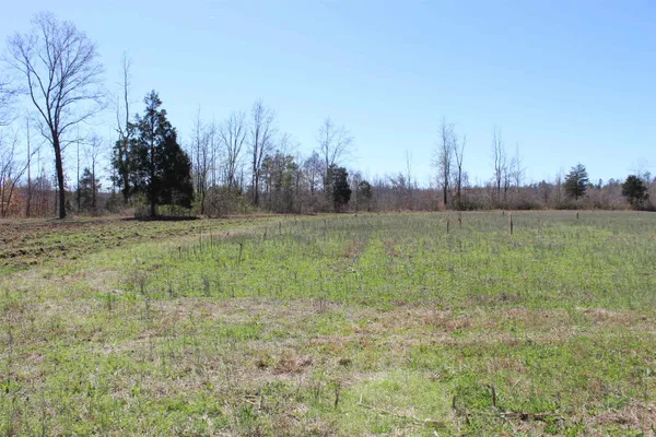 $919,800 | 0 Van Buren Road, Saulsbury, TN 38067