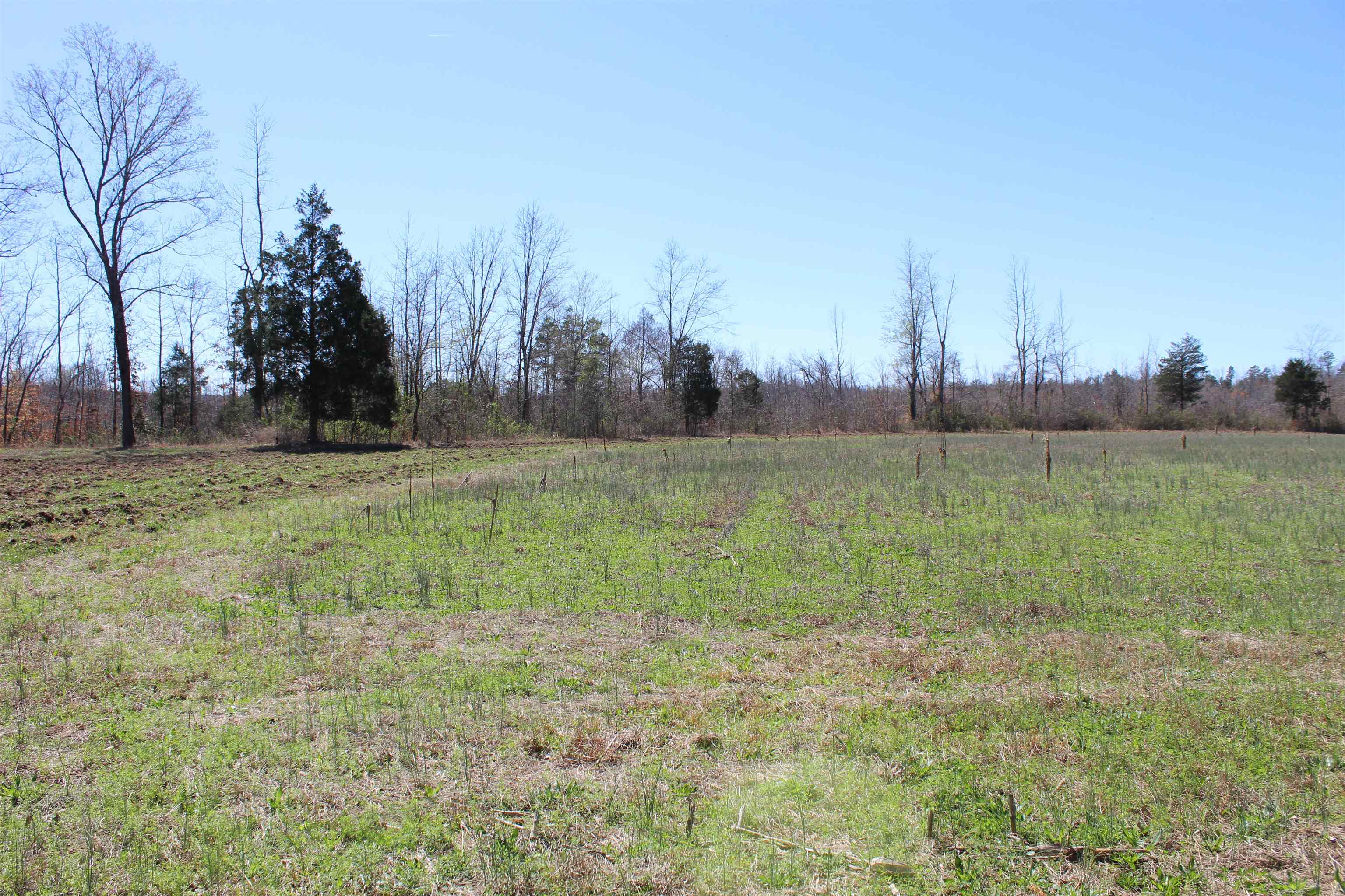0 Van Buren Road Saulsbury, TN 38067 - Photo 12 of 34 a view of a field