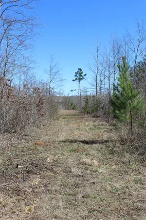 $919,800 | 0 Van Buren Road, Saulsbury, TN 38067