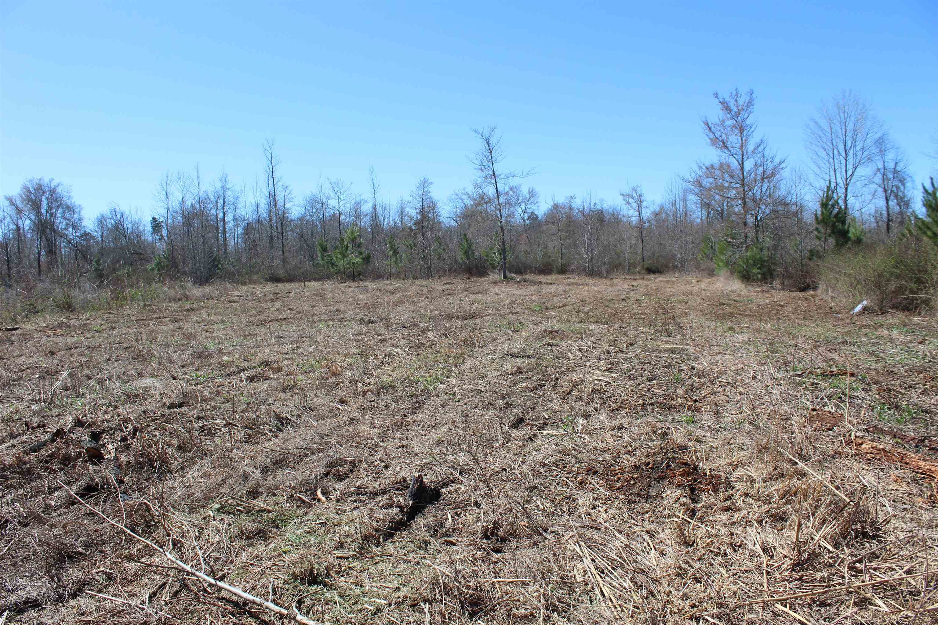 0 Van Buren Road Saulsbury, TN 38067 - Photo 16 of 34 a view of a dry yard with trees in the background