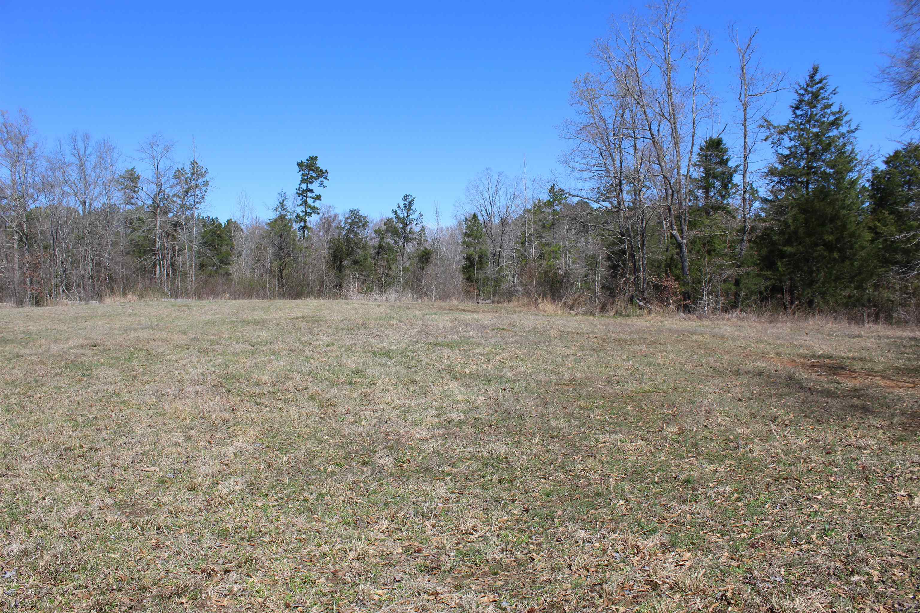 0 Van Buren Road Saulsbury, TN 38067 - Photo 17 of 34 a view of dirt field with trees in background