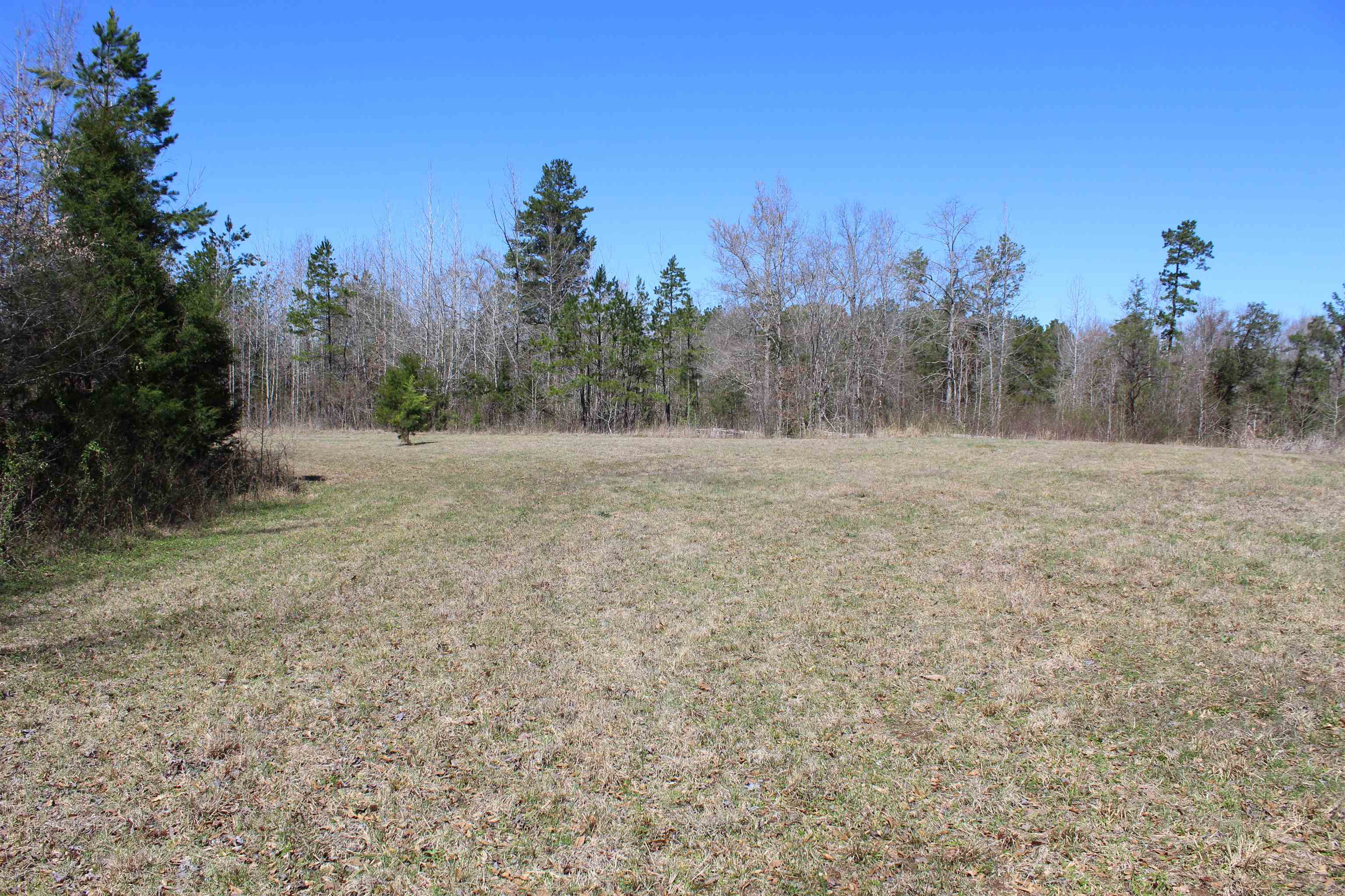 0 Van Buren Road Saulsbury, TN 38067 - Photo 18 of 34 a view of dirt field with trees in background