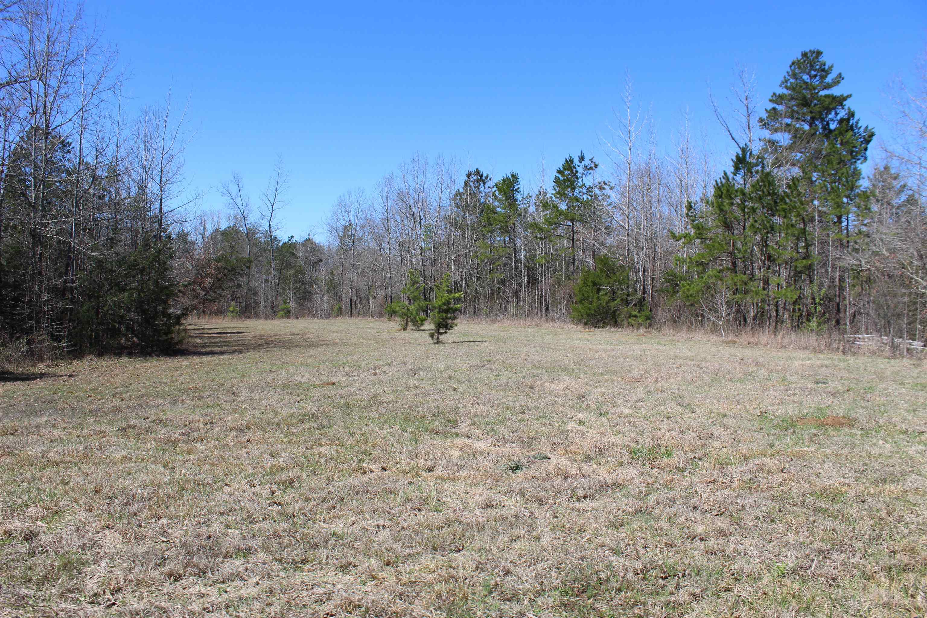 0 Van Buren Road Saulsbury, TN 38067 - Photo 19 of 34 a view of a dry yard with trees in the background