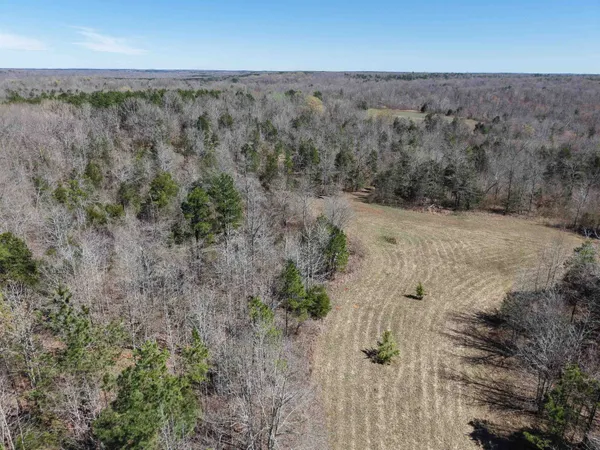 $919,800 | 0 Van Buren Road, Saulsbury, TN 38067