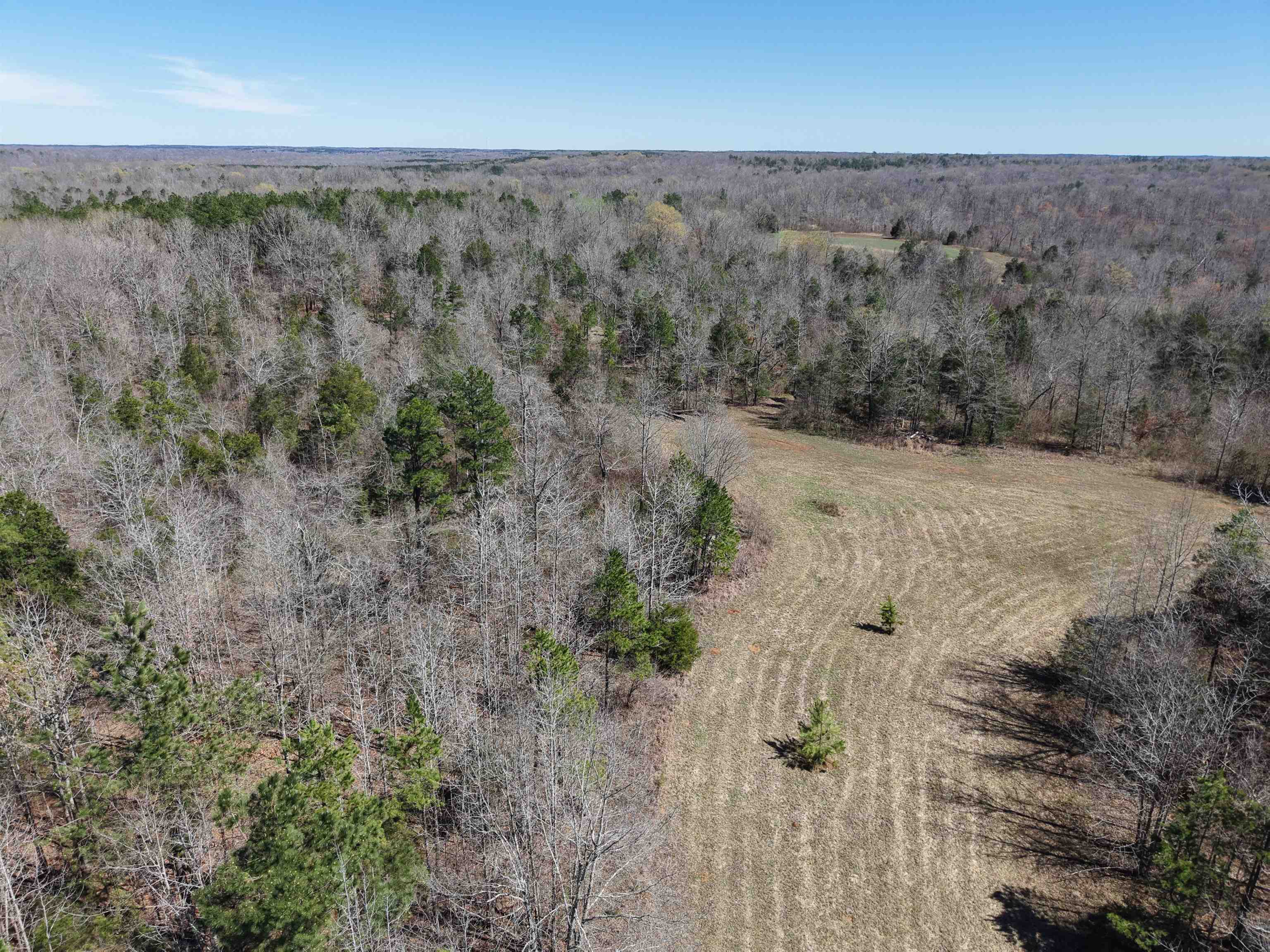 0 Van Buren Road Saulsbury, TN 38067 - Photo 20 of 34 an aerial view of house with mountain view