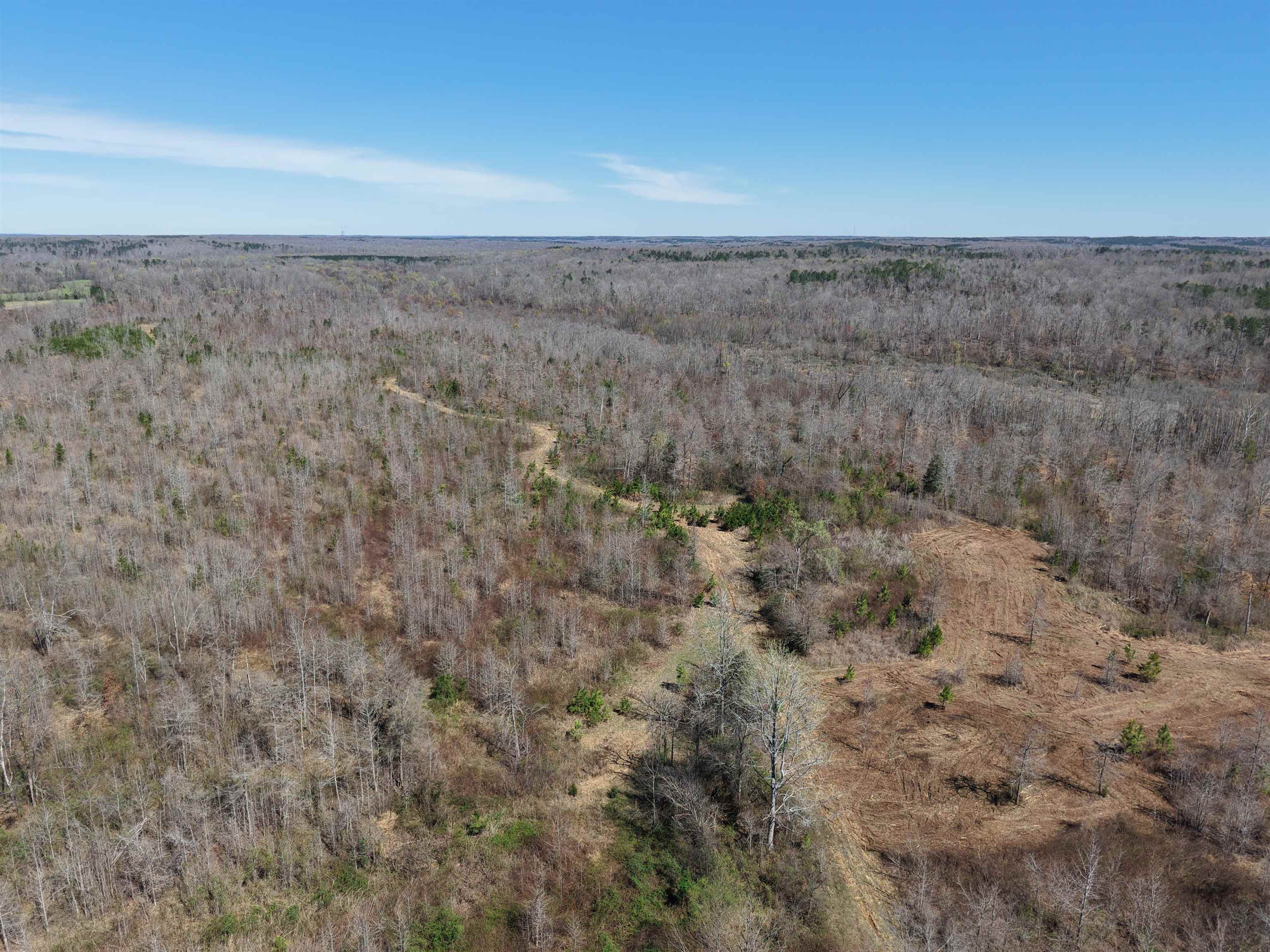 0 Van Buren Road Saulsbury, TN 38067 - Photo 2 of 34 a view of a dry yard with trees