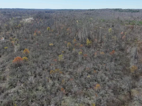 $919,800 | 0 Van Buren Road, Saulsbury, TN 38067