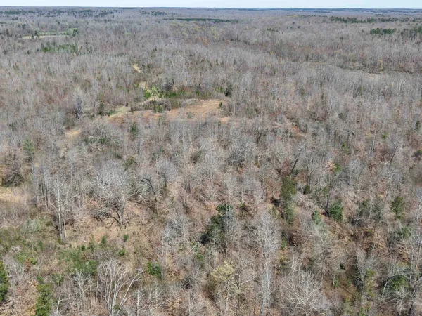 $919,800 | 0 Van Buren Road, Saulsbury, TN 38067