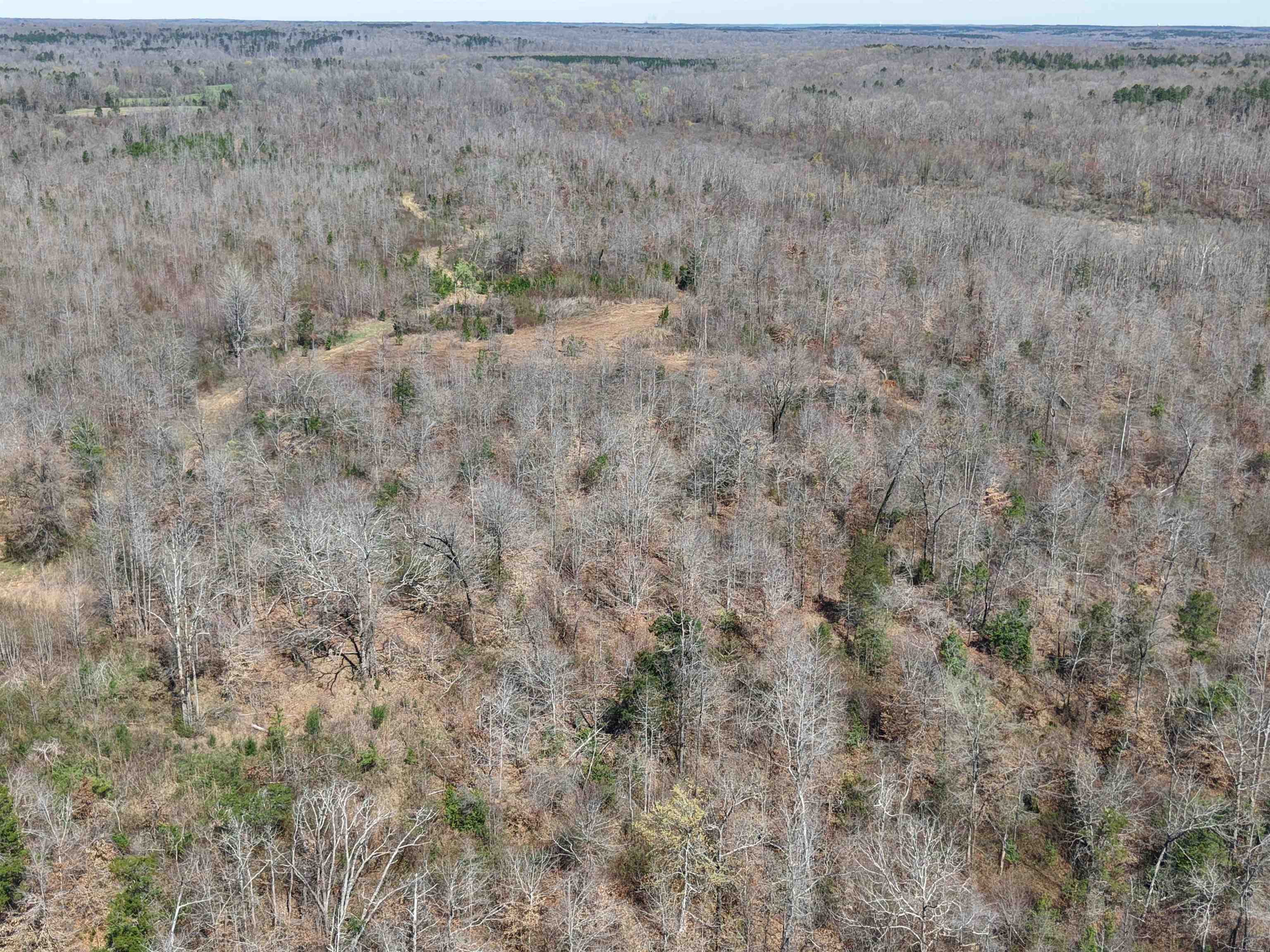 0 Van Buren Road Saulsbury, TN 38067 - Photo 22 of 34 a view of a dry field