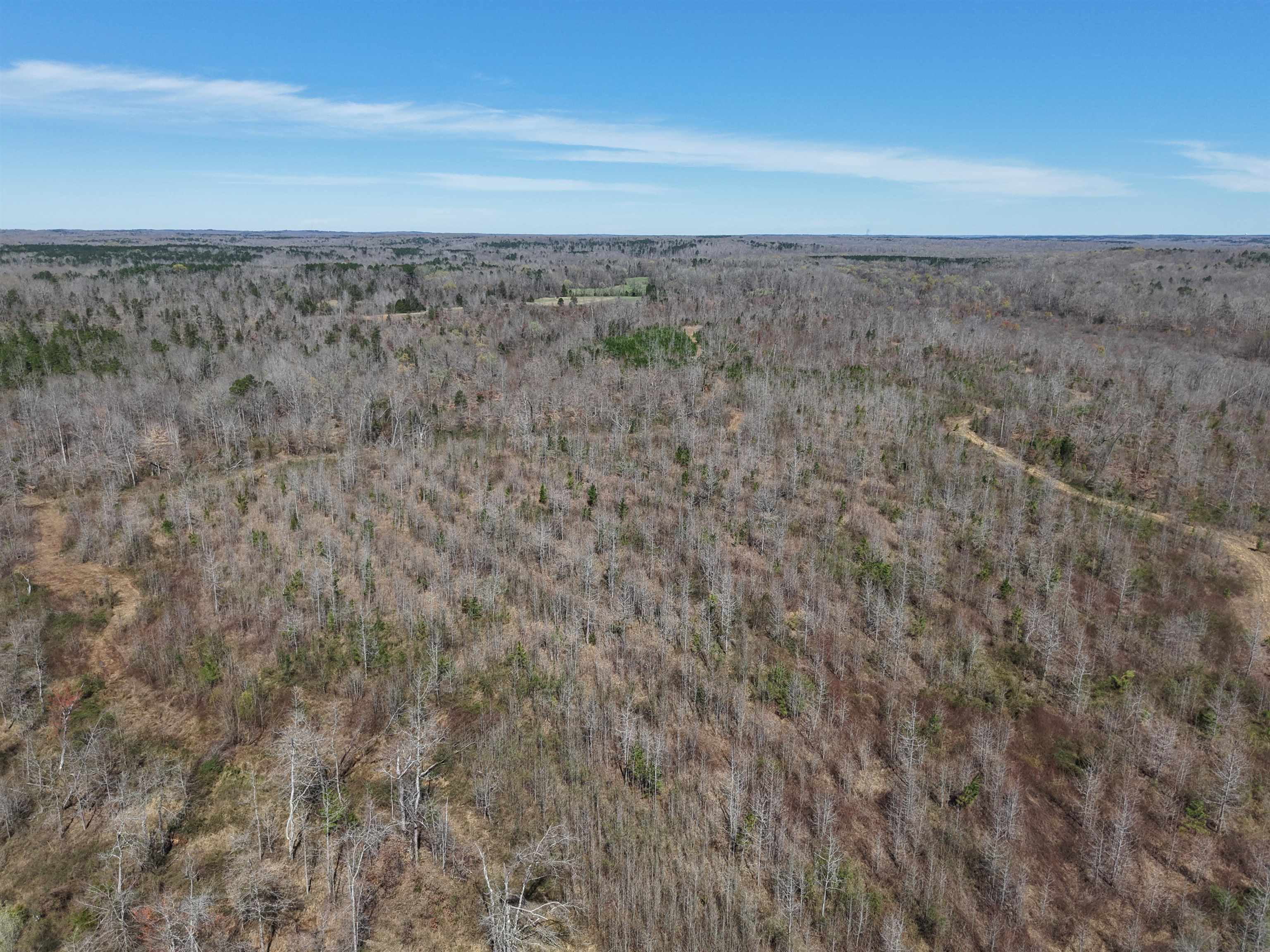 0 Van Buren Road Saulsbury, TN 38067 - Photo 23 of 34 a view of a field