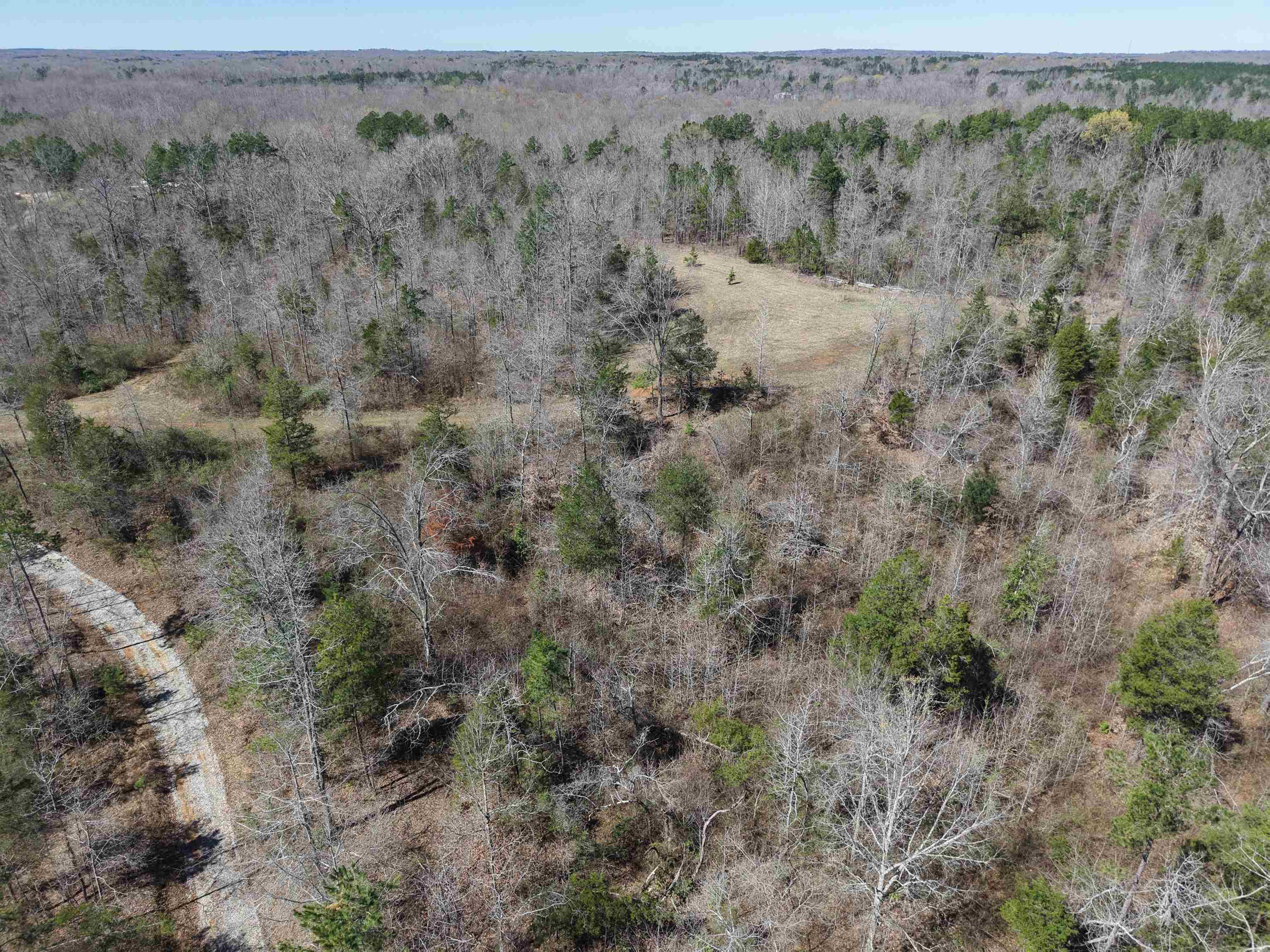0 Van Buren Road Saulsbury, TN 38067 - Photo 25 of 34 an aerial view of forest