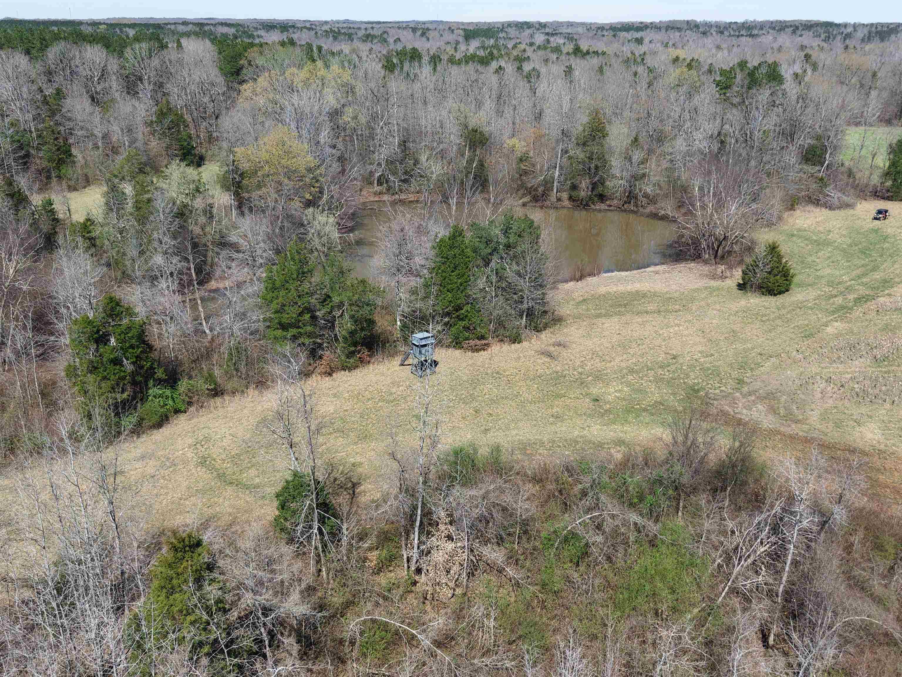 0 Van Buren Road Saulsbury, TN 38067 - Photo 26 of 34 a view of a dry yard with green space