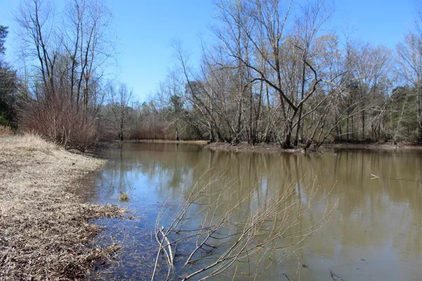 $919,800 | 0 Van Buren Road, Saulsbury, TN 38067