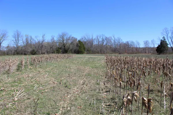 $919,800 | 0 Van Buren Road, Saulsbury, TN 38067