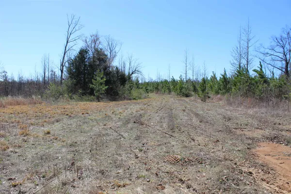 $919,800 | 0 Van Buren Road, Saulsbury, TN 38067