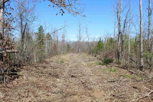 $919,800 | 0 Van Buren Road, Saulsbury, TN 38067