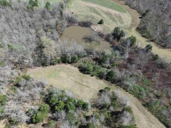 $919,800 | 0 Van Buren Road, Saulsbury, TN 38067