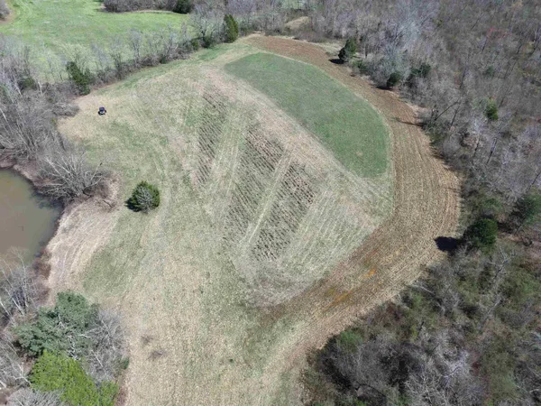 $919,800 | 0 Van Buren Road, Saulsbury, TN 38067