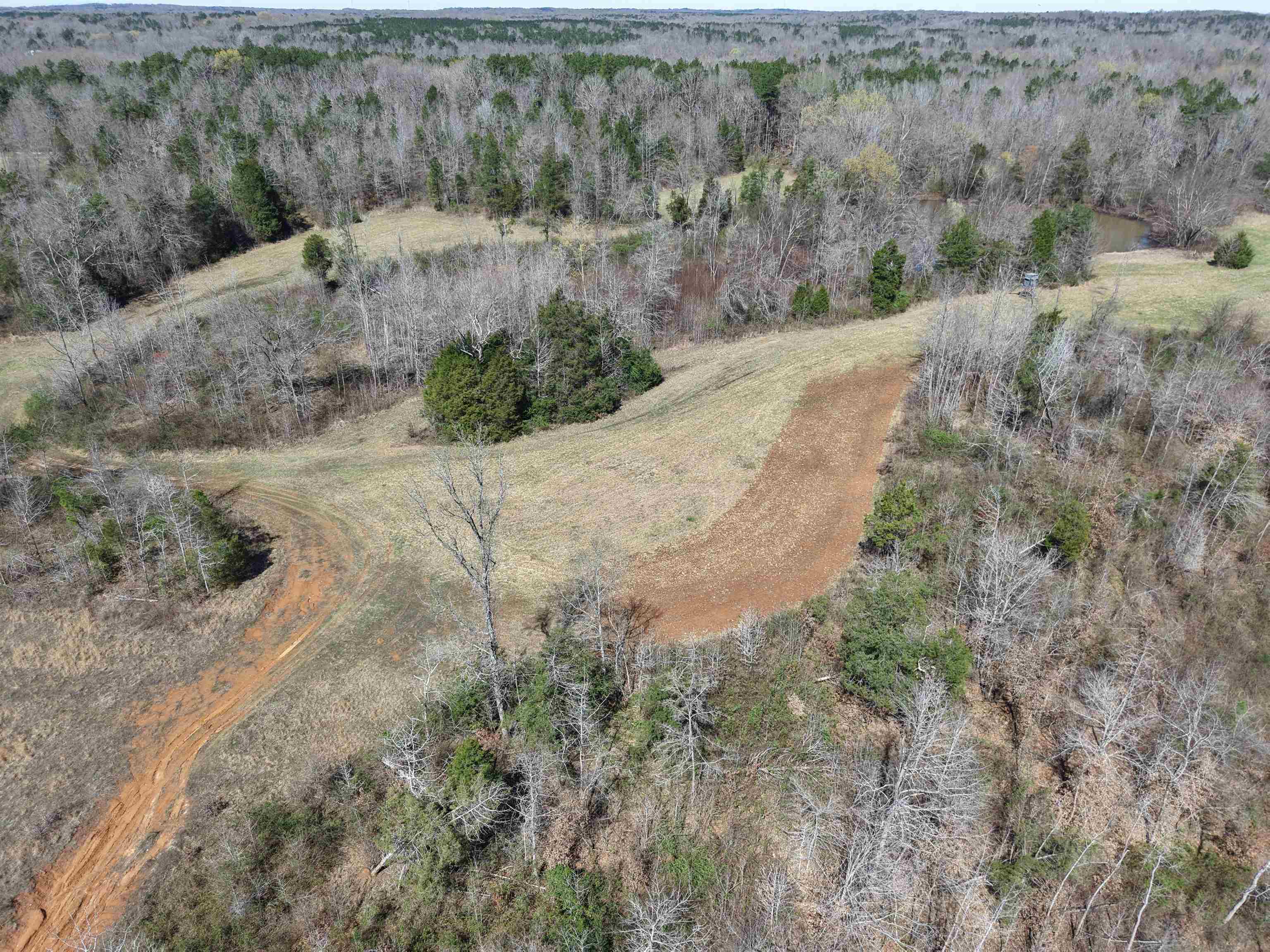 0 Van Buren Road Saulsbury, TN 38067 - Photo 6 of 34 a view of a dry yard with green space