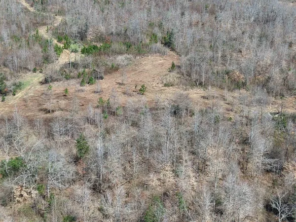 $919,800 | 0 Van Buren Road, Saulsbury, TN 38067