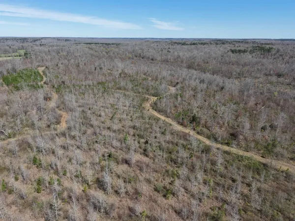 $919,800 | 0 Van Buren Road, Saulsbury, TN 38067