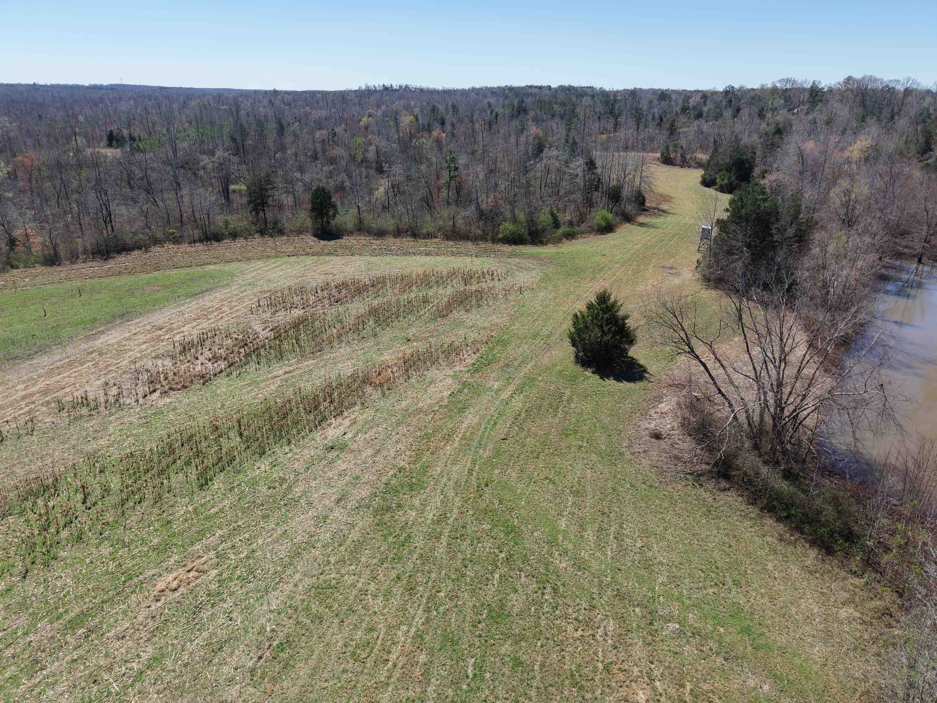 0 Van Buren Road Saulsbury, TN 38067 - Photo 9 of 34