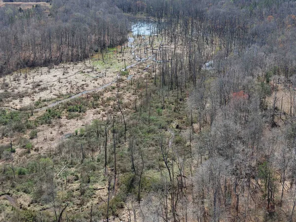 $919,800 | 0 Van Buren Road, Saulsbury, TN 38067