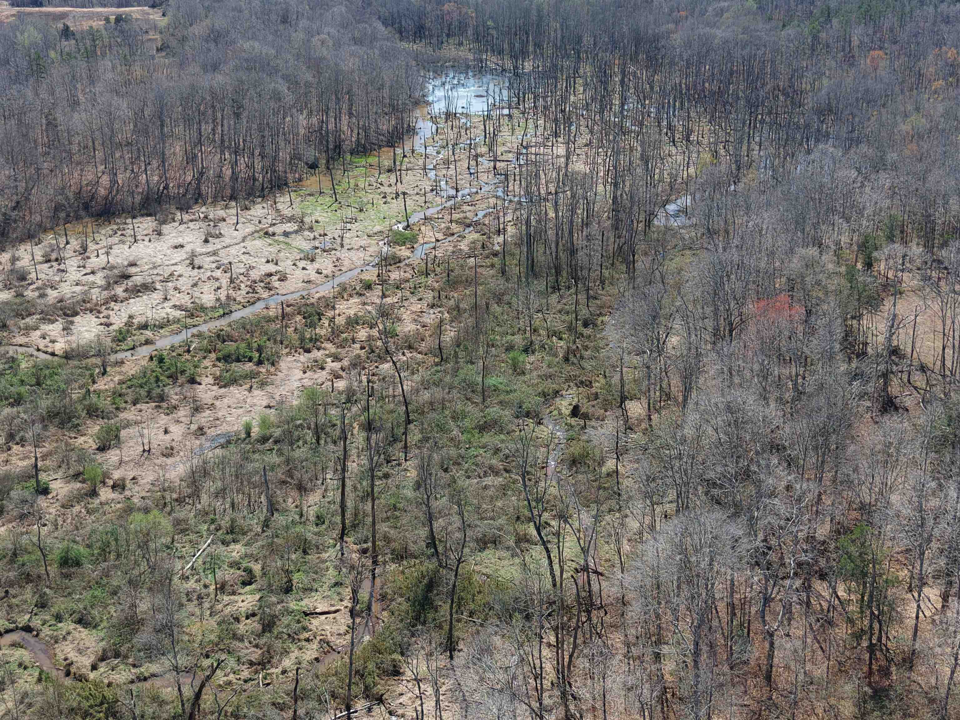 0 Van Buren Road Saulsbury, TN 38067 - Photo 10 of 34 a view of backyard with green space