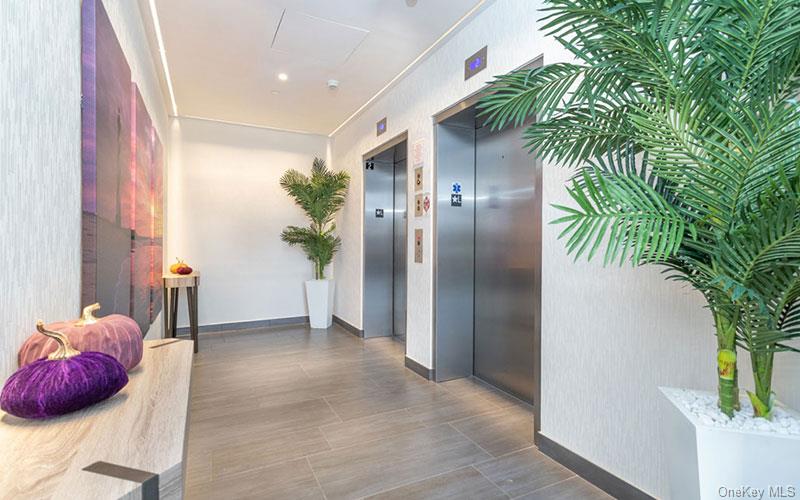 1 Dekalb Avenue, Unit PH10 White Plains, NY 10605 - Photo 6 of 18 a view of entryway and potted plants