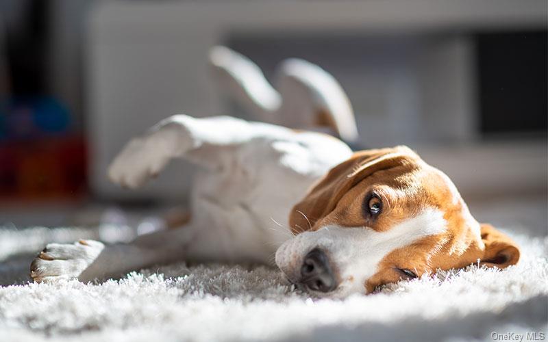 1 Dekalb Avenue, Unit PH10 White Plains, NY 10605 - Photo 7 of 18 a view of a wooden floor in a room