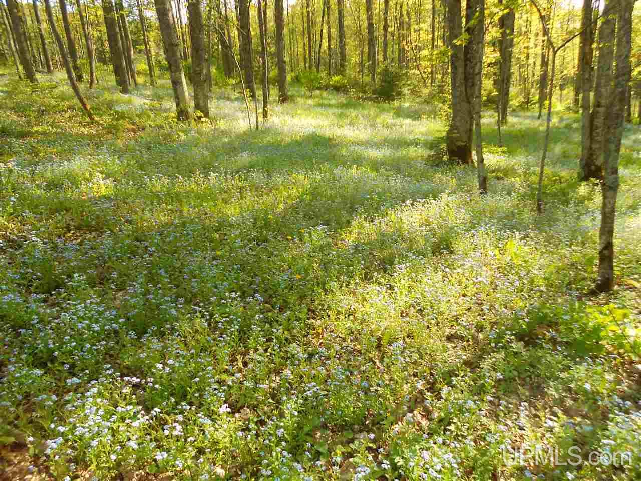 306 Section 16 Road Iron River, MI 49935 - Photo 28 of 35 Gallery Image 28
