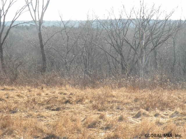 66 State Route Chatham, NY 12184 - Photo 2 of 6 Photo 2