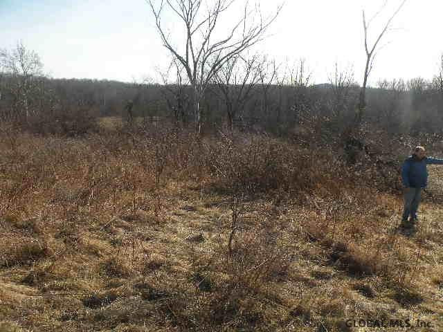 66 State Route Chatham, NY 12184 - Photo 3 of 6 Photo 3