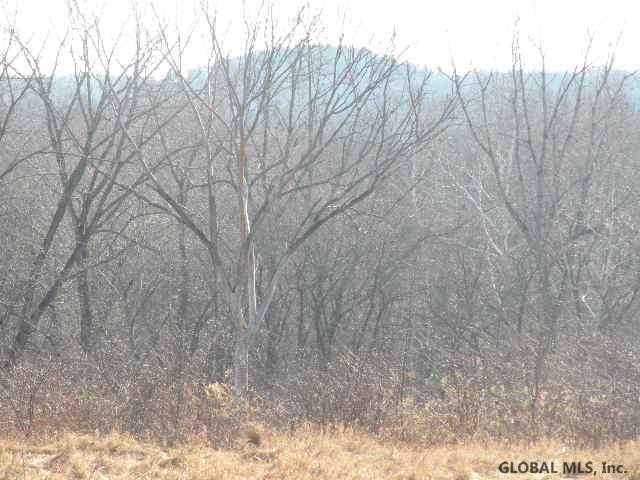 66 State Route Chatham, NY 12184 - Photo 4 of 6 Photo 4