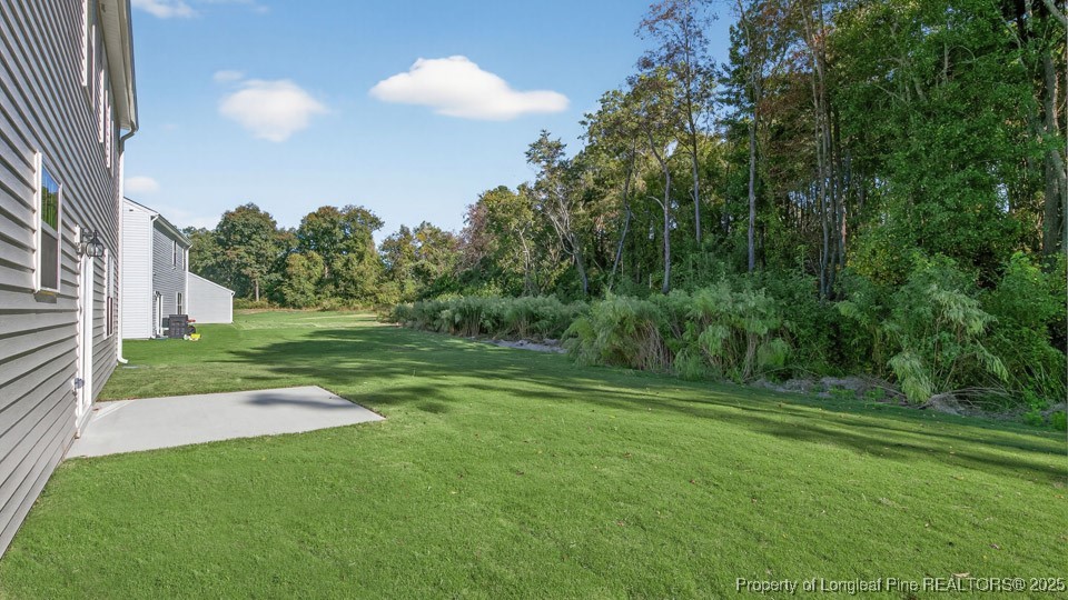 3034 Bayview Drive Vass, NC 28394 - Photo 43 of 47 a view of a grassy field with trees in the background