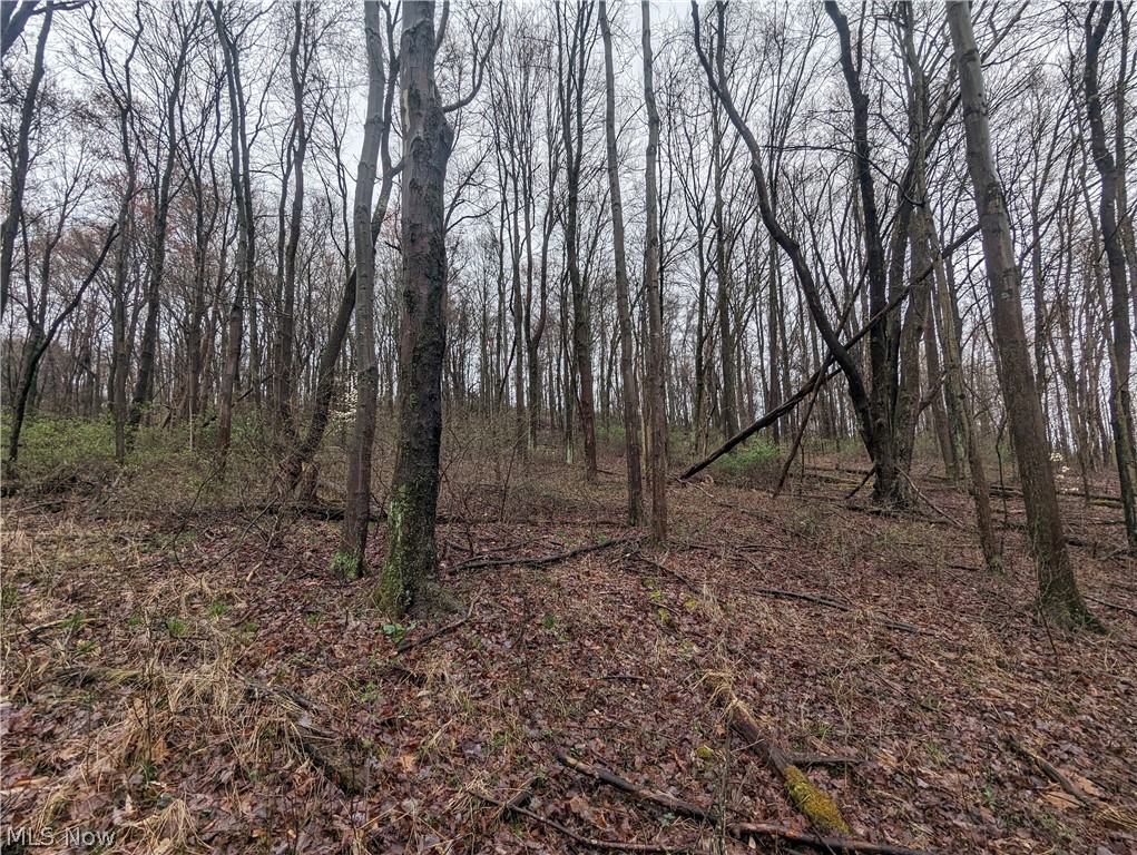 Overture Road Northeast Mechanicstown, OH 44651 - Photo 3 of 23 Gallery Image 3