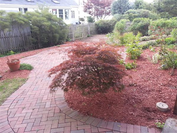 66 Princeton Road Arlington, MA 02474 - Photo 27 of 27 Gallery Image 27