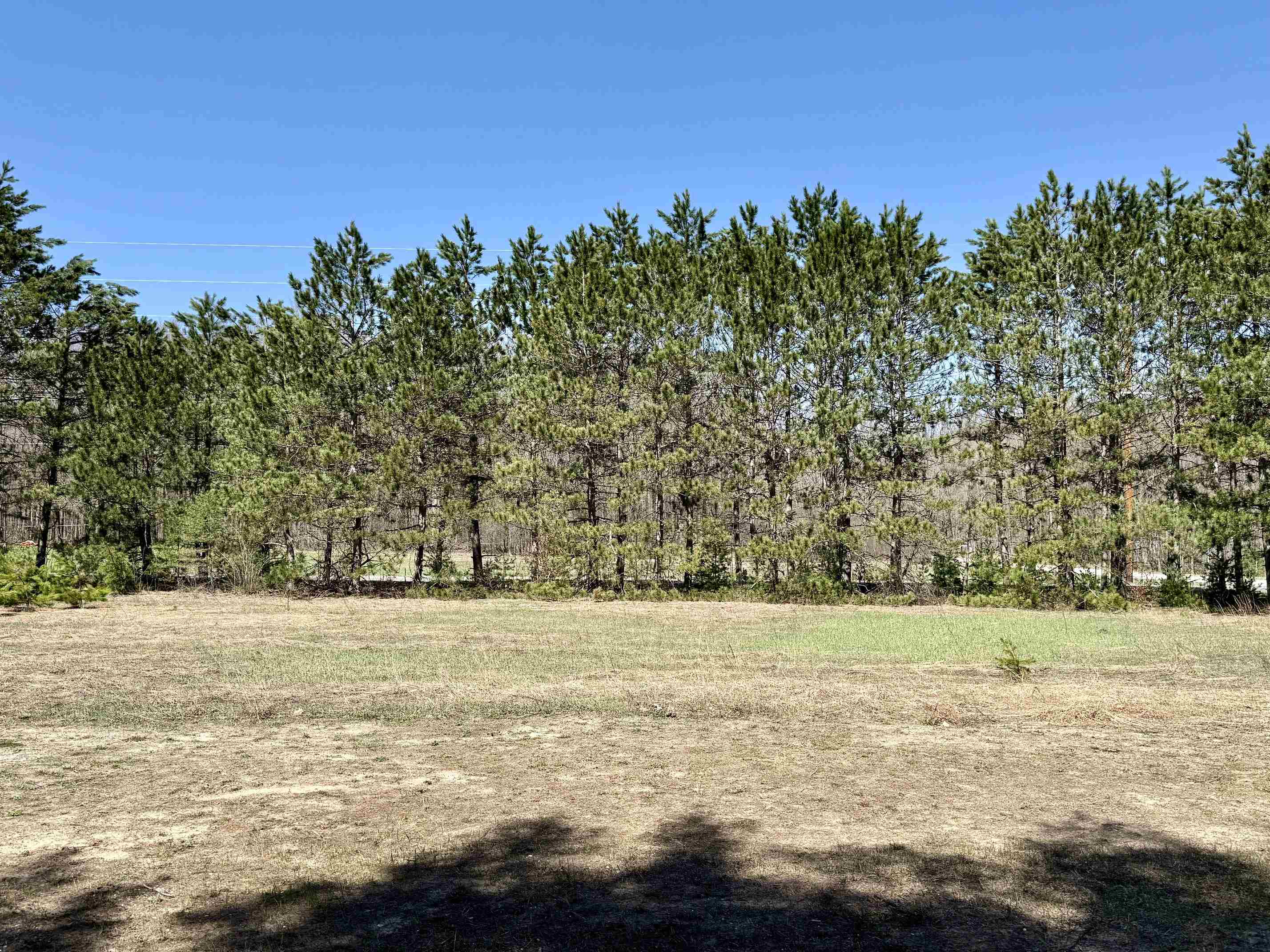 3044 South 29 Road Cadillac, MI 49601 - Photo 8 of 11