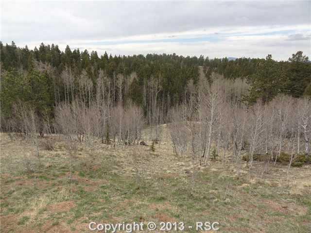 4265 Cedar Mountain Road Divide, CO 80814 - Photo 23 of 24 Gallery Image 23