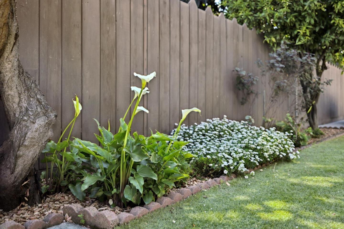 595 Anza Street Mountain View, CA 94041 - Photo 53 of 72