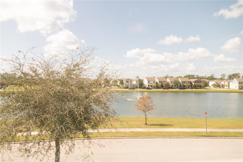 8673 Coventry Park Way Windermere, FL 34786 - Photo 64 of 72 Gallery Image 64