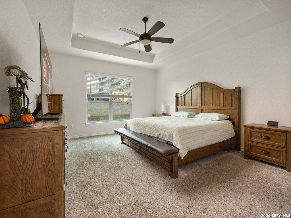 31049 Clover Pass Bulverde, TX 78163 - Photo 19 of 50