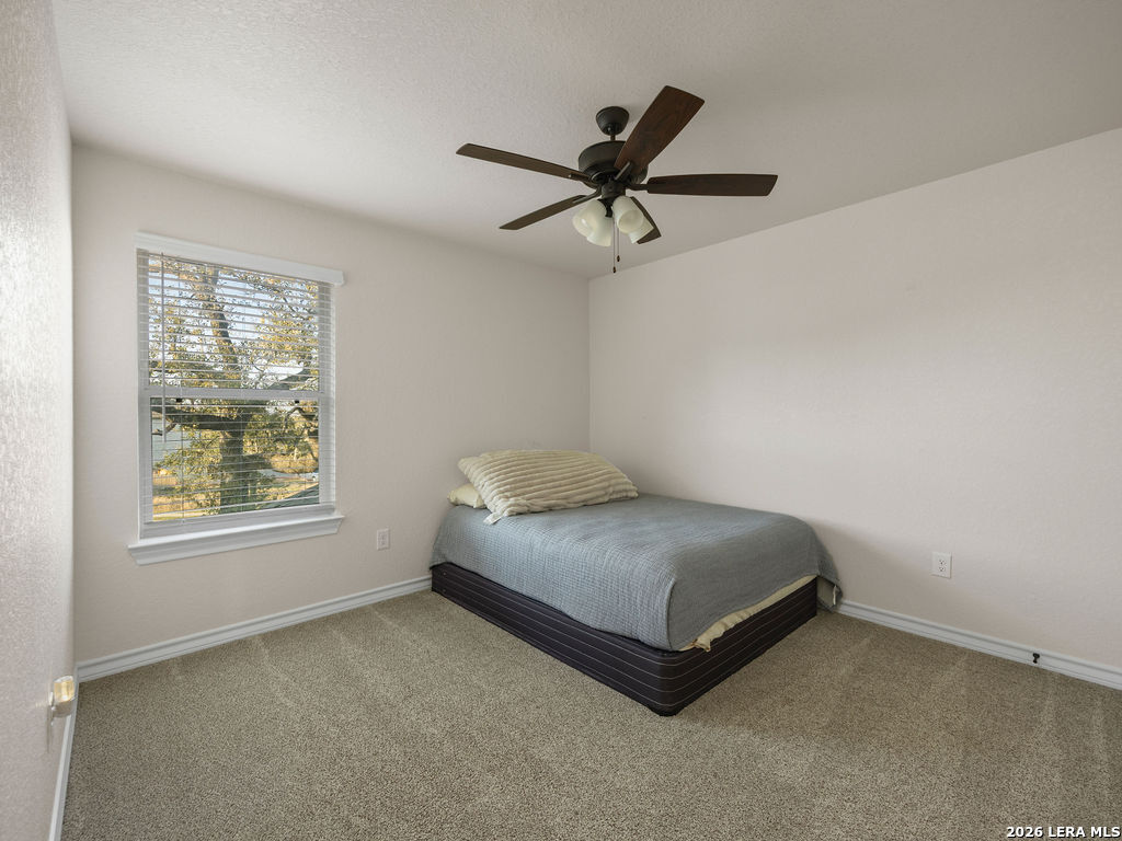 31049 Clover Pass Bulverde, TX 78163 - Photo 32 of 50