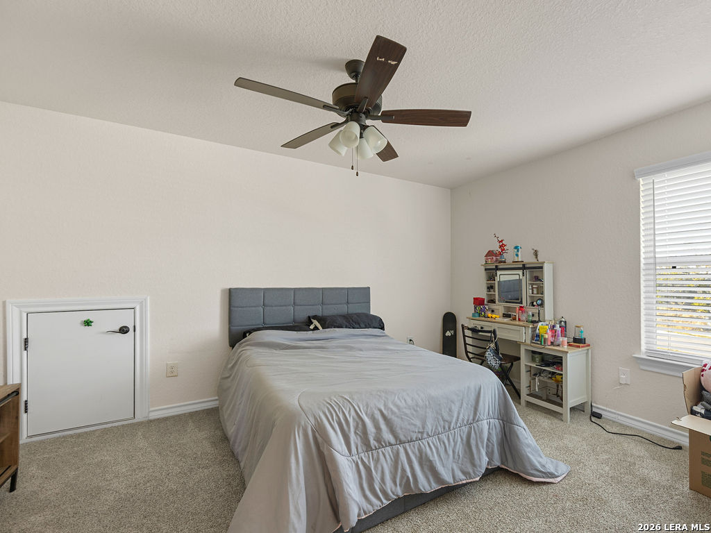 31049 Clover Pass Bulverde, TX 78163 - Photo 35 of 50